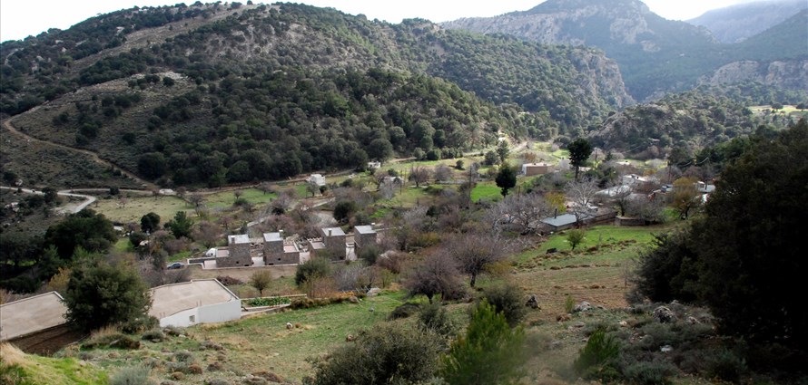 erysimum-pezoulia-mountain-retreat-selakano-lasithi-crete-1 - Villas with Pools in Crete, Corfu & Paros | Handpicked by Alargo